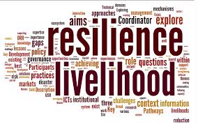 resilience word